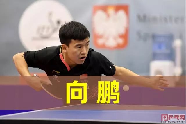 让这两个老 让这两个老