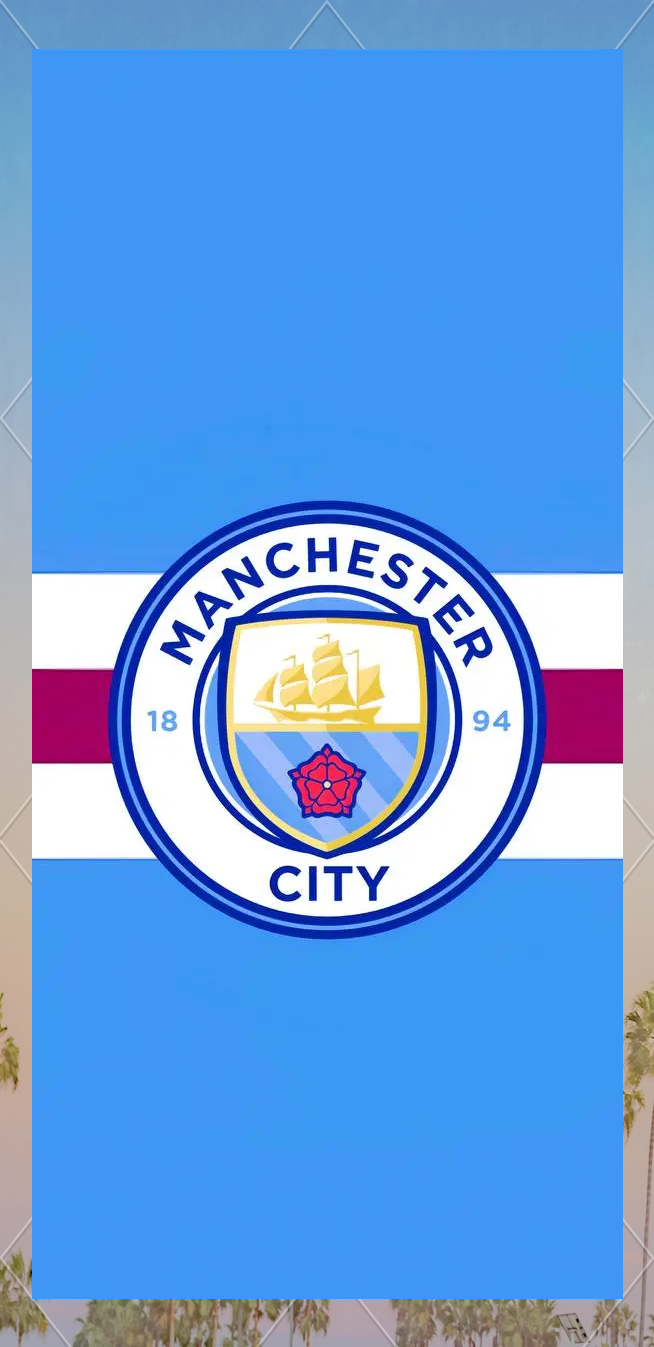 开局阶段 开局阶段