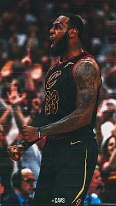 为何是它 为何是它